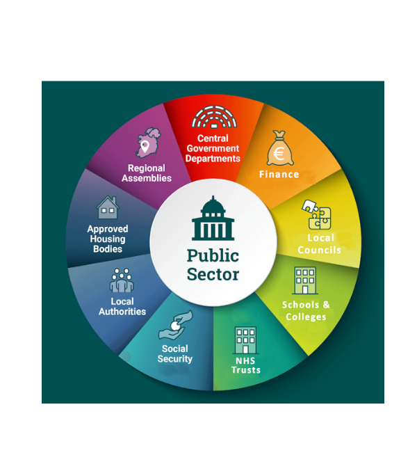 Public sector organisations